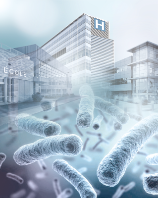 2_hopital_montage_5_cor.png