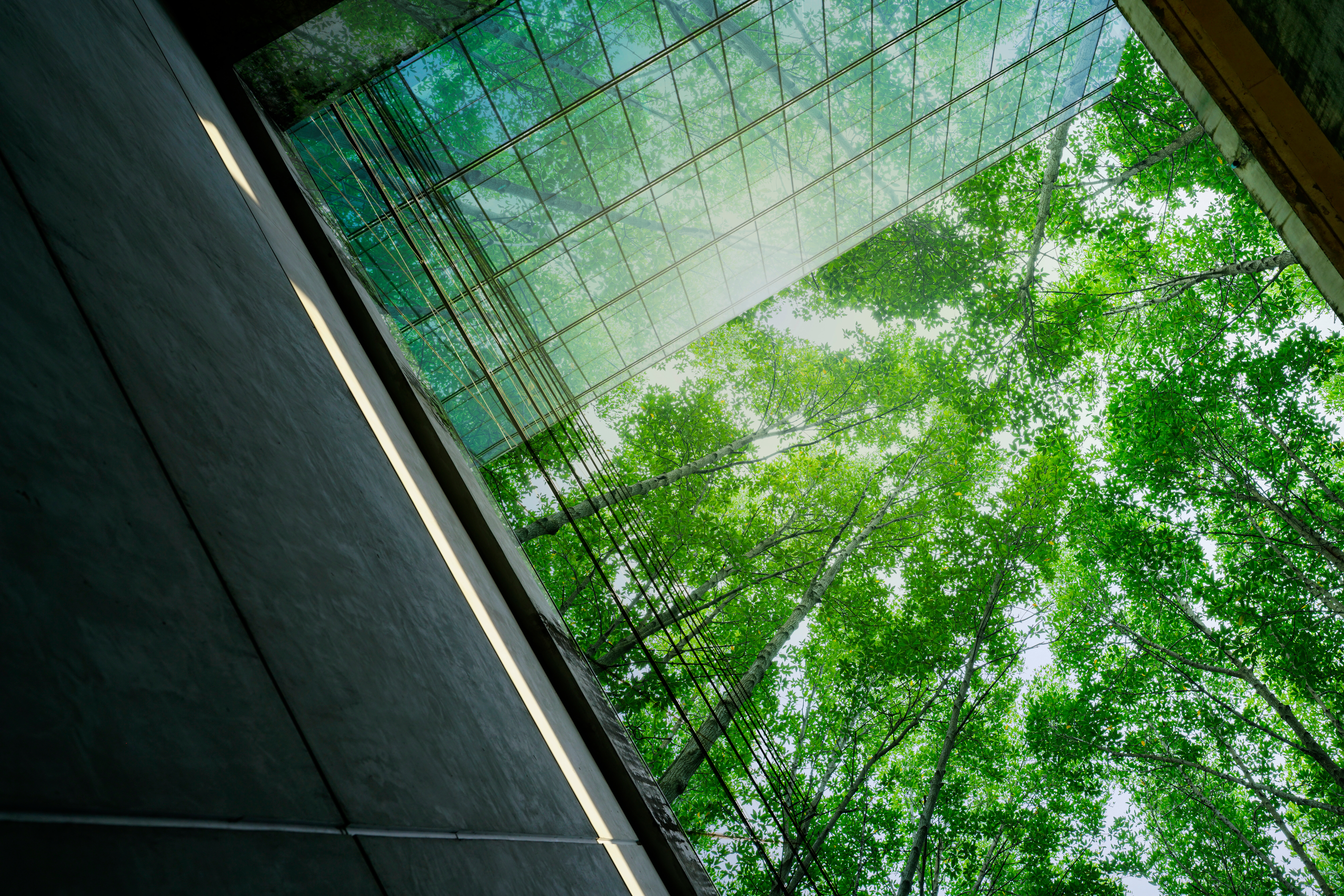 adobestock-1016476324.jpeg